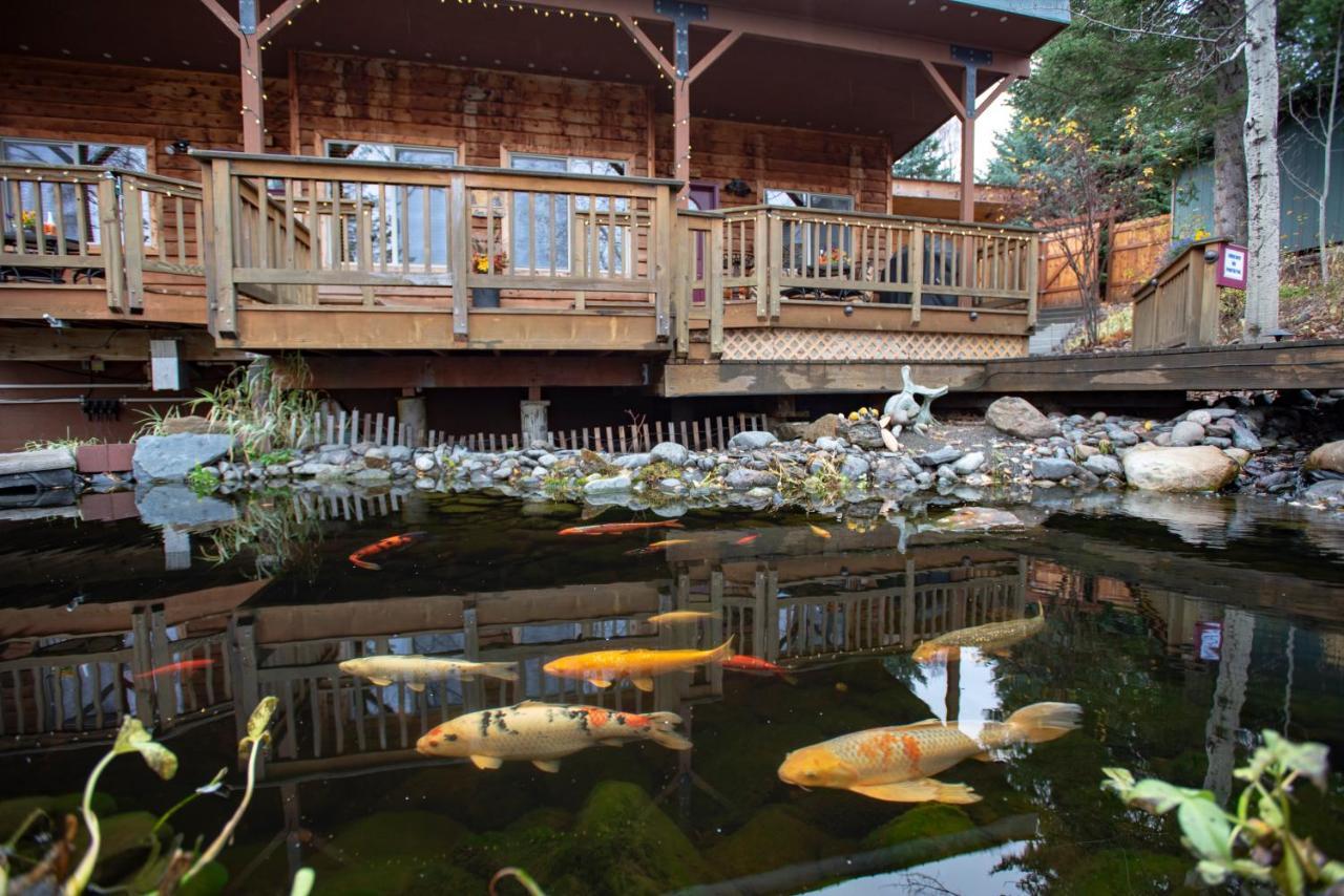 Bear Creek Winery And Lodging Bed and Breakfast Homer Exterior foto