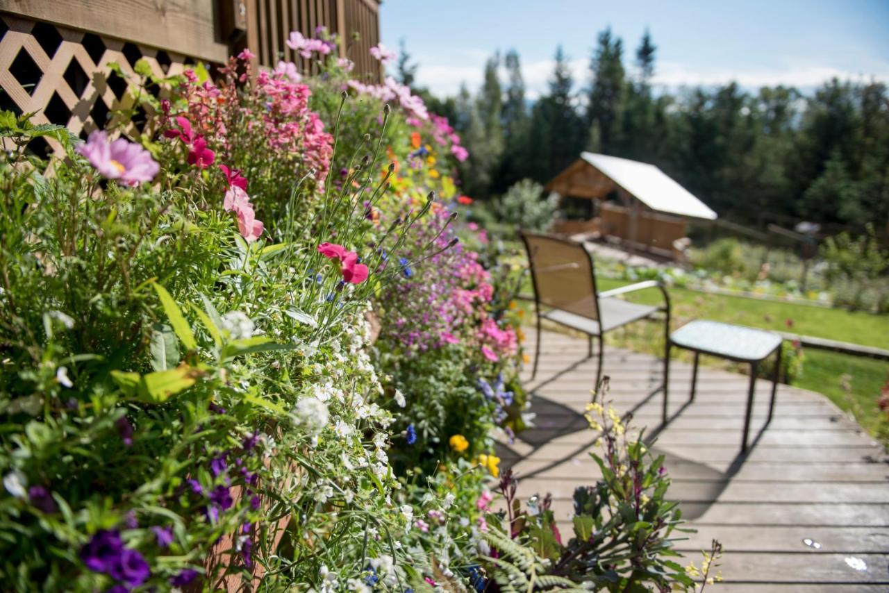 Bear Creek Winery And Lodging Bed and Breakfast Homer Exterior foto
